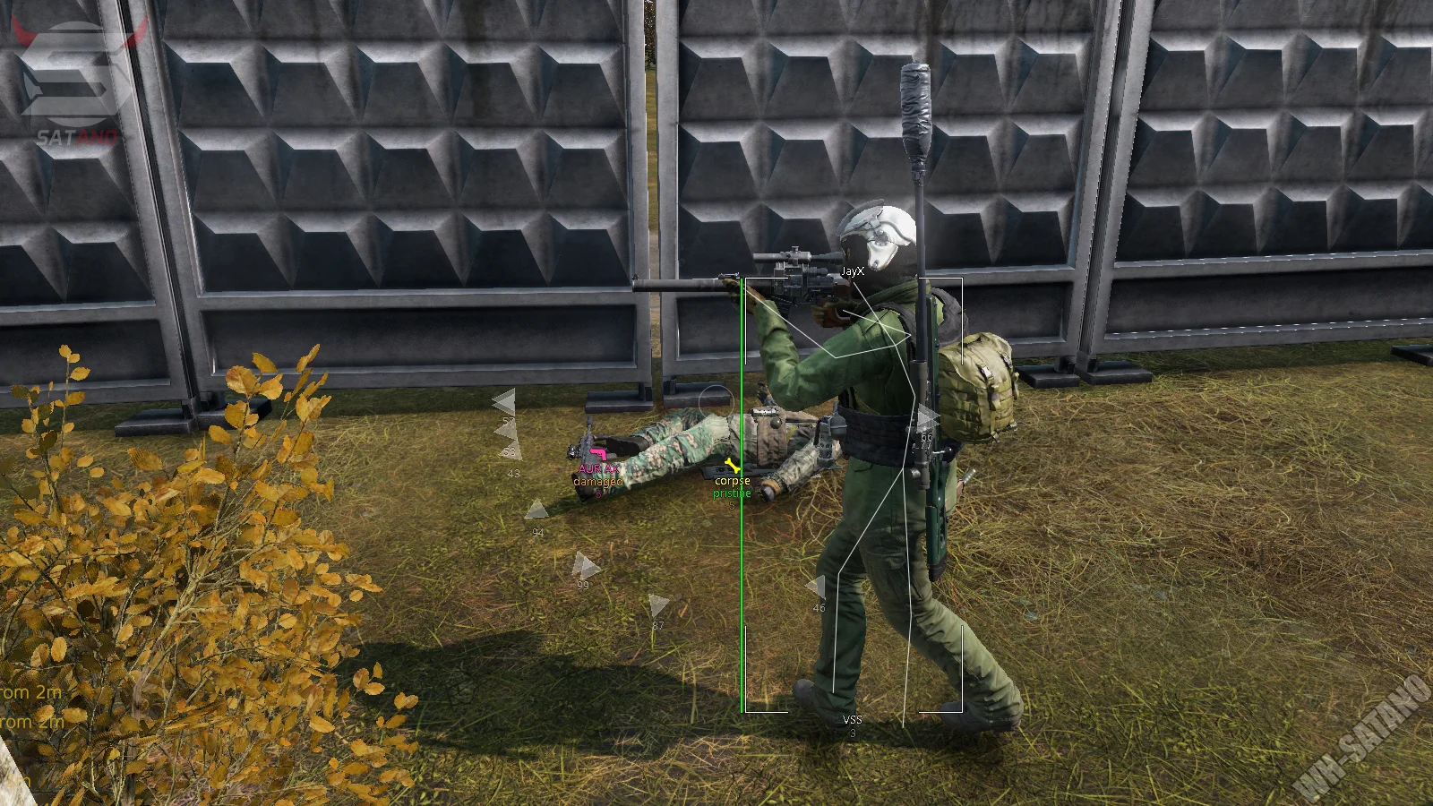 Memez Software for DayZ Standalone cheat